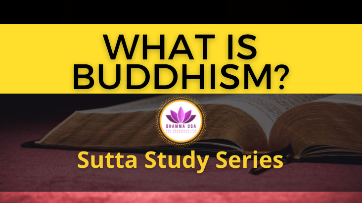 Sutta Study Series